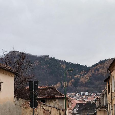 Golden Greens Studio - Mountain Scenery Braşov Dış mekan fotoğraf