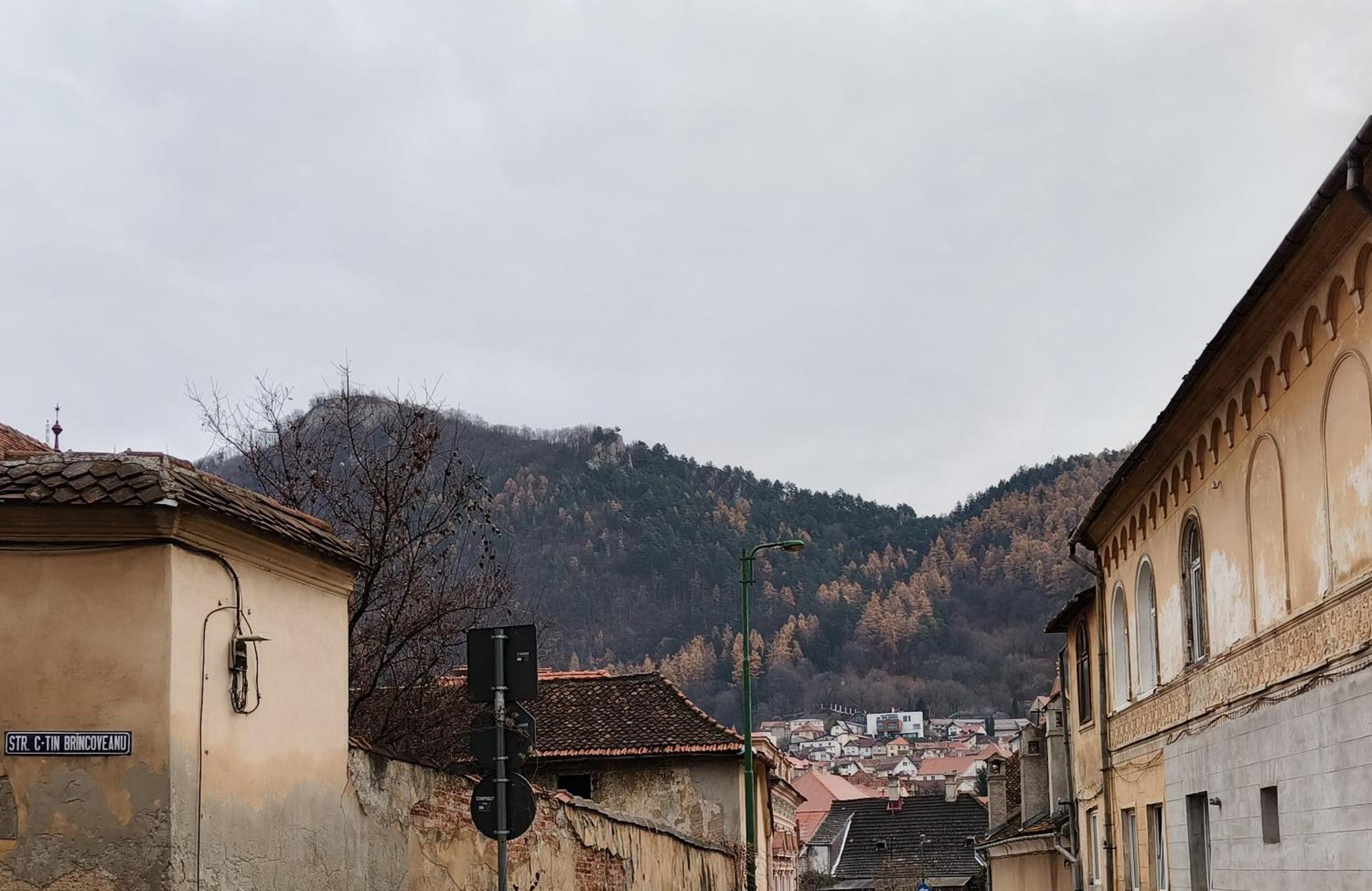 Golden Greens Studio - Mountain Scenery Braşov Dış mekan fotoğraf